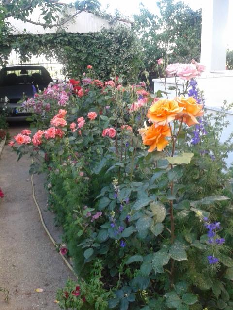 Name:  20170510_183414.jpg
Views: 147
Size:  69.0 KB