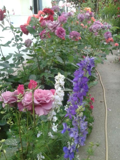 Name:  20170510_200001.jpg
Views: 143
Size:  57.5 KB