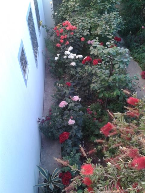 Name:  20170510_194050.jpg
Views: 143
Size:  51.8 KB