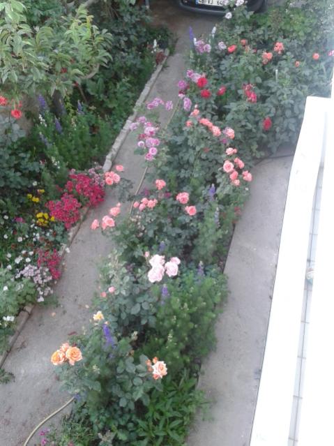 Name:  20170510_193904.jpg
Views: 146
Size:  52.4 KB