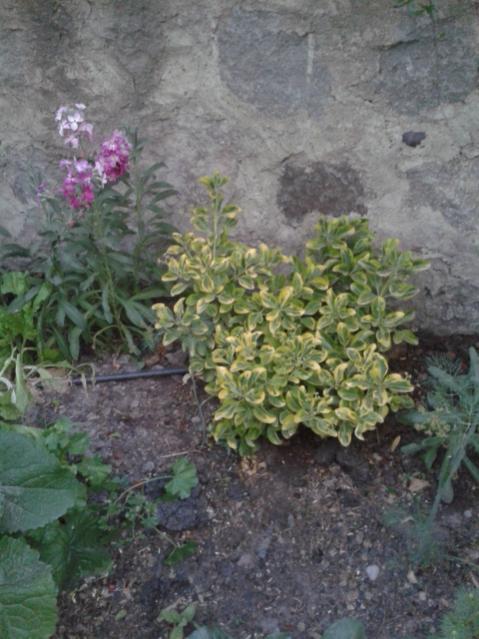 Name:  20170510_200626.jpg
Views: 533
Size:  52.2 KB