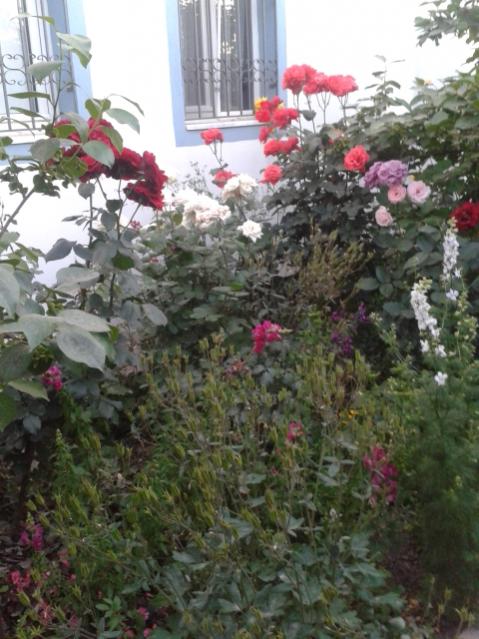 Name:  20170510_200558.jpg
Views: 485
Size:  56.8 KB