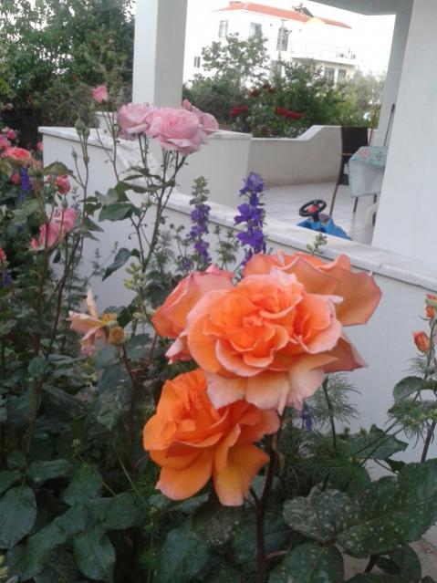 Name:  20170510_195829.jpg
Views: 476
Size:  50.5 KB