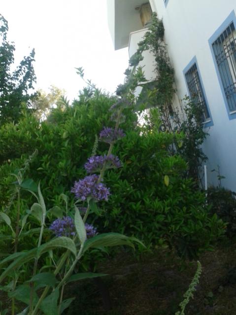 Name:  20170510_183209.jpg
Views: 466
Size:  44.4 KB