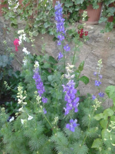 Name:  20170510_195917.jpg
Views: 472
Size:  55.5 KB