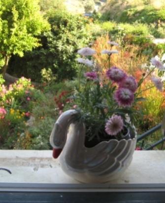 Name:  IMG_5465.jpg
Views: 747
Size:  27.3 KB