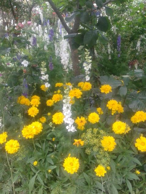 Name:  20170519_114127.jpg
Views: 415
Size:  61.9 KB