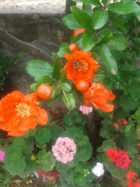 Name:  20170519_115901.jpg
Views: 414
Size:  39.8 KB