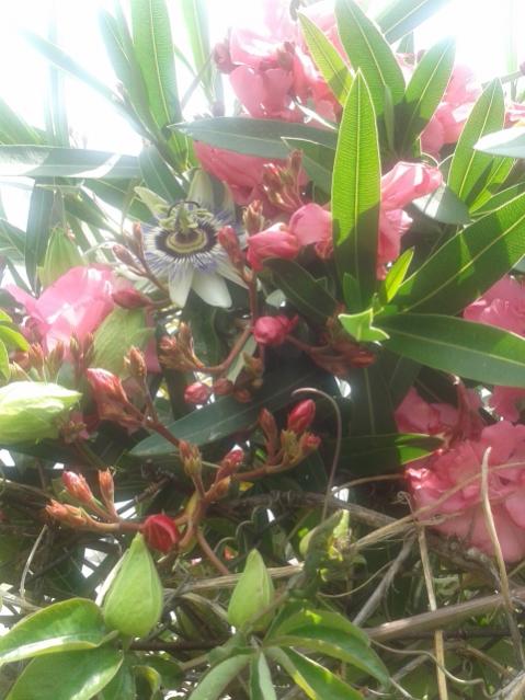 Name:  20170519_115456.jpg
Views: 432
Size:  50.7 KB