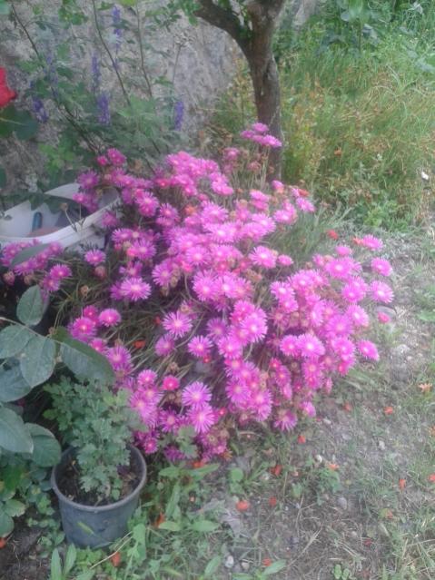 Name:  20170519_112934.jpg
Views: 407
Size:  62.9 KB