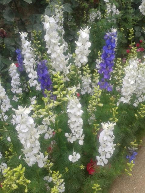 Name:  20170519_114729.jpg
Views: 421
Size:  61.3 KB