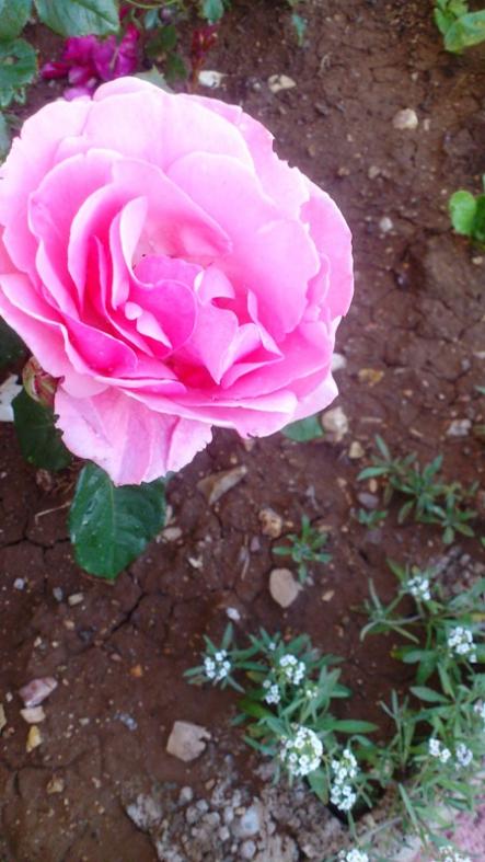 Name:  167.jpg
Views: 363
Size:  55.4 KB