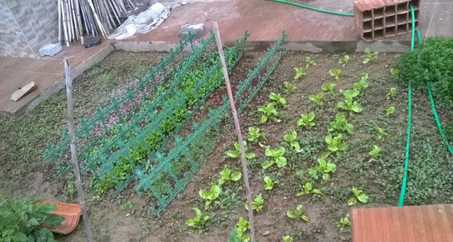 Name:  13.06.2017 - yeillikler.jpg
Views: 627
Size:  59.2 KB