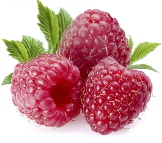 Name:  frambuaz-fidani-ottowa.jpg
Views: 431
Size:  51.6 KB