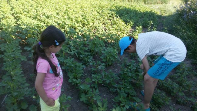 Name:  20170626_171139.jpg
Views: 876
Size:  53.2 KB