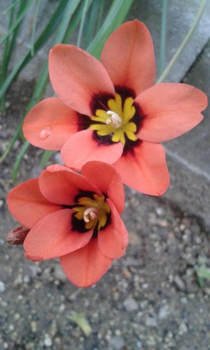 Name:  20170424_123142.jpg
Views: 538
Size:  35.5 KB