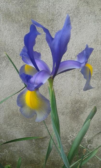 Name:  20170427_151636.jpg
Views: 444
Size:  58.7 KB