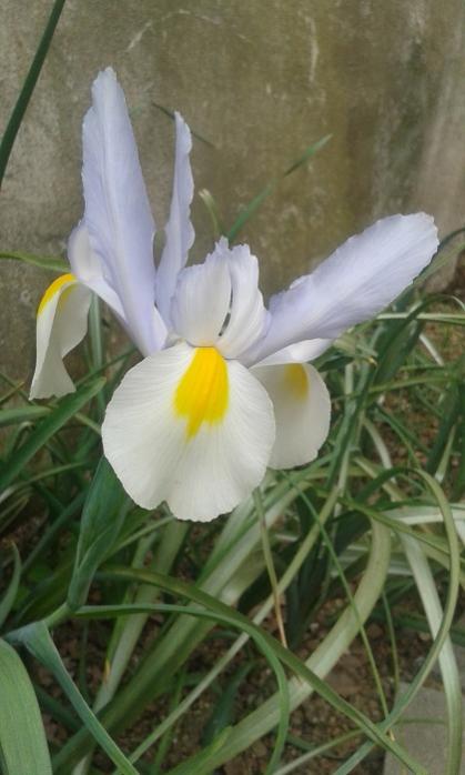 Name:  20170427_151648.jpg
Views: 462
Size:  38.5 KB