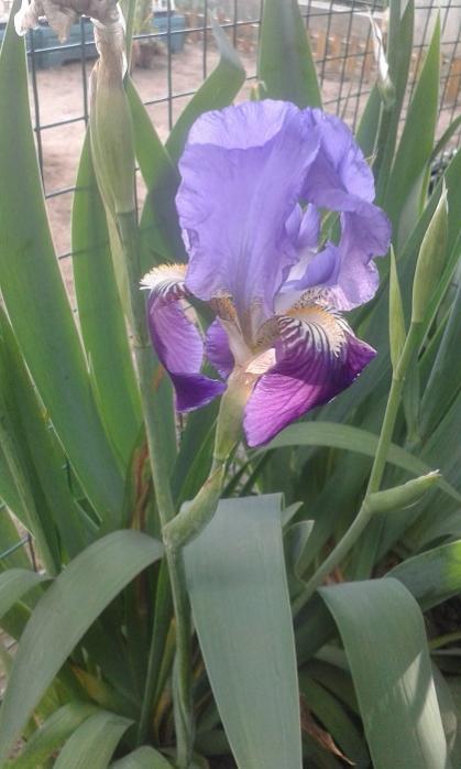 Name:  20170515_174613.jpg
Views: 332
Size:  39.7 KB