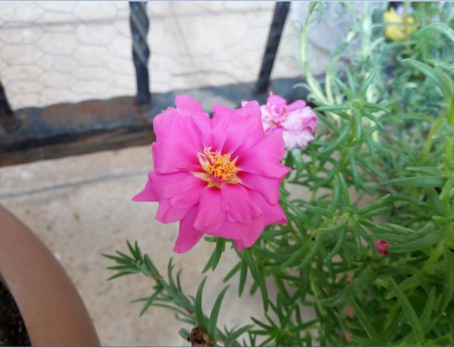 Name:  ip2.JPG
Views: 412
Size:  51.0 KB