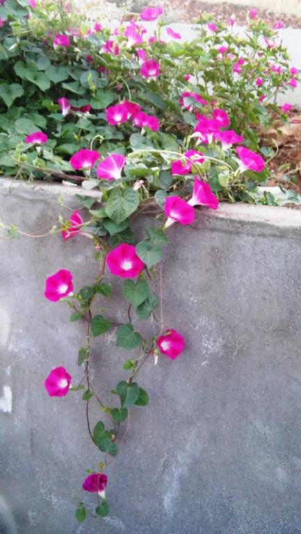 Name:  202.jpg
Views: 310
Size:  60.3 KB