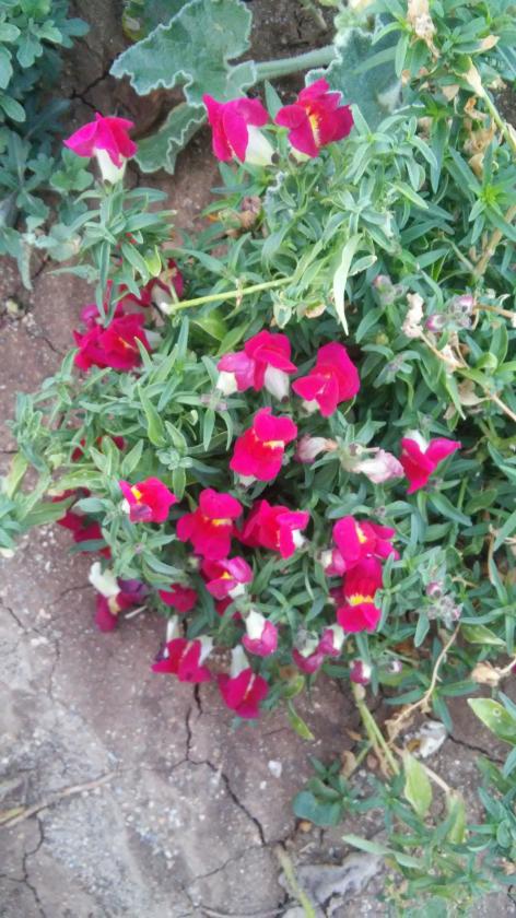 Name:  197.jpg
Views: 304
Size:  81.3 KB