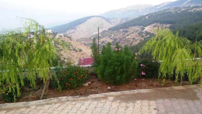Name:  225.jpg
Views: 720
Size:  45.2 KB