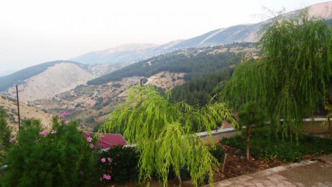Name:  232.jpg
Views: 991
Size:  38.2 KB