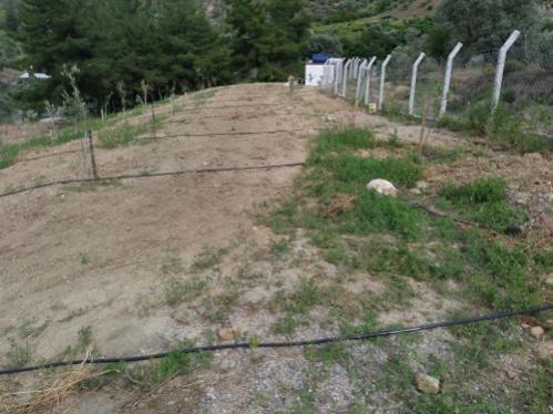 Name:  deliksiz-damlama-sulama-borusu.jpg
Views: 439
Size:  36.7 KB