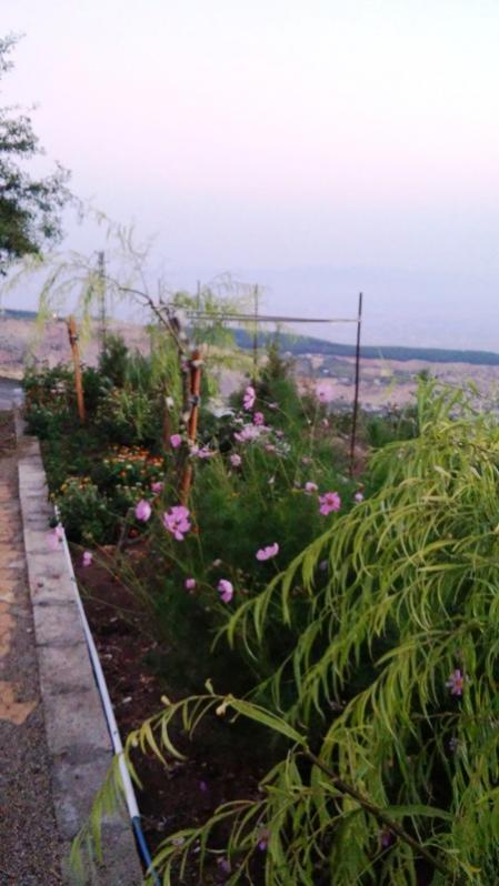 Name:  083.jpg
Views: 651
Size:  49.7 KB