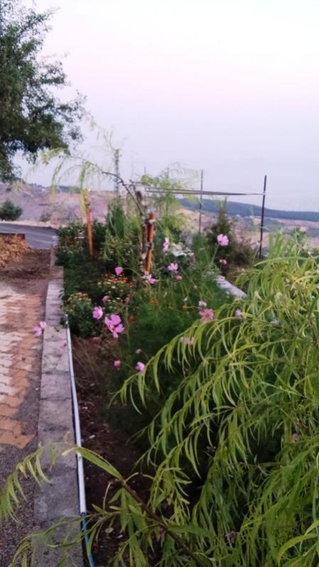 Name:  084.jpg
Views: 650
Size:  57.6 KB