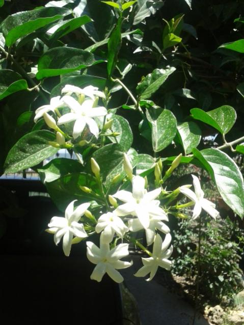 Name:  20170619_131649.jpg
Views: 206
Size:  54.3 KB