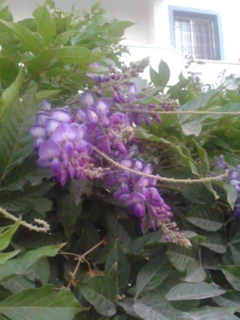 Name:  20170721_203145.jpg
Views: 204
Size:  41.6 KB