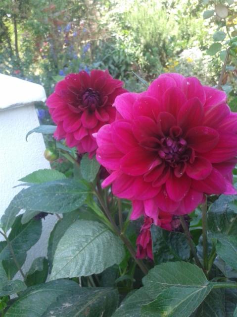 Name:  20170615_112005.jpg
Views: 207
Size:  47.7 KB