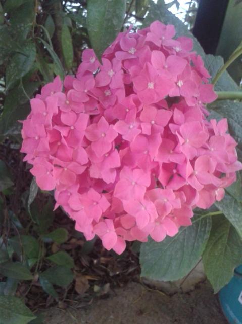 Name:  20170619_131212.jpg
Views: 208
Size:  39.7 KB