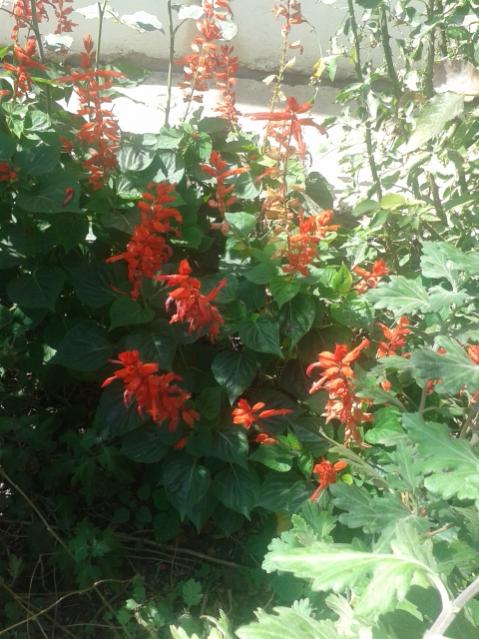 Name:  20170904_112717.jpg
Views: 198
Size:  59.7 KB
