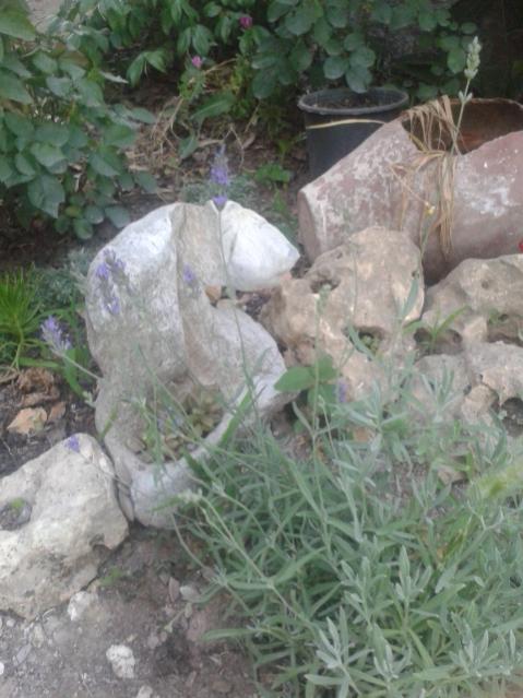 Name:  20170609_200831.jpg
Views: 192
Size:  50.3 KB