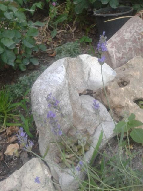Name:  20170609_200838.jpg
Views: 203
Size:  46.9 KB