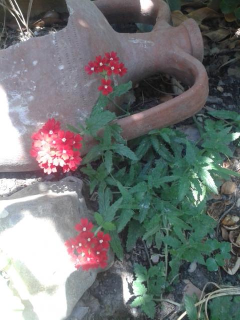 Name:  20170619_131502.jpg
Views: 198
Size:  46.1 KB