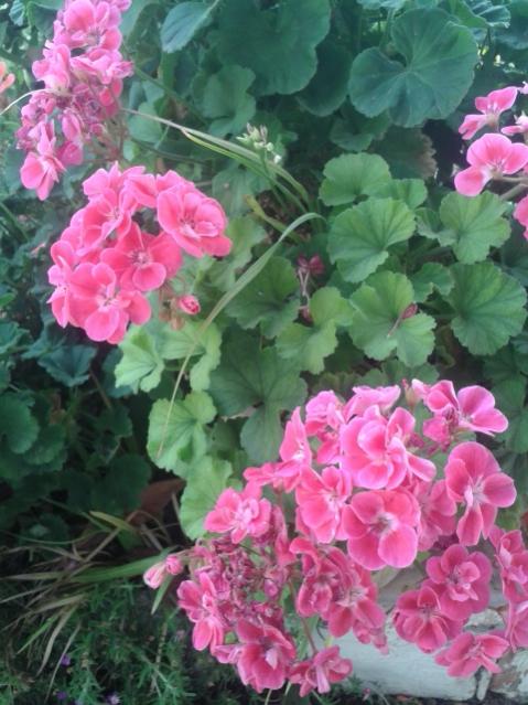 Name:  20170521_183118.jpg
Views: 202
Size:  54.3 KB