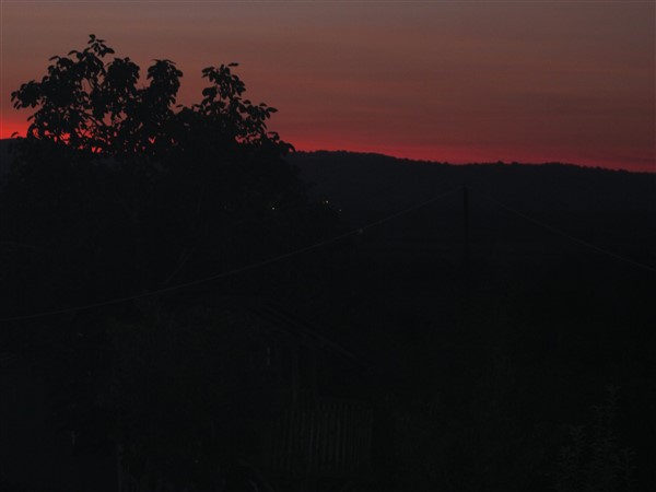Name:  IMG_1863 (600 x 450).jpg
Views: 709
Size:  23.2 KB