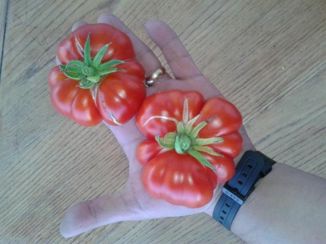 Name:  20170911_163132.jpg
Views: 1126
Size:  39.7 KB