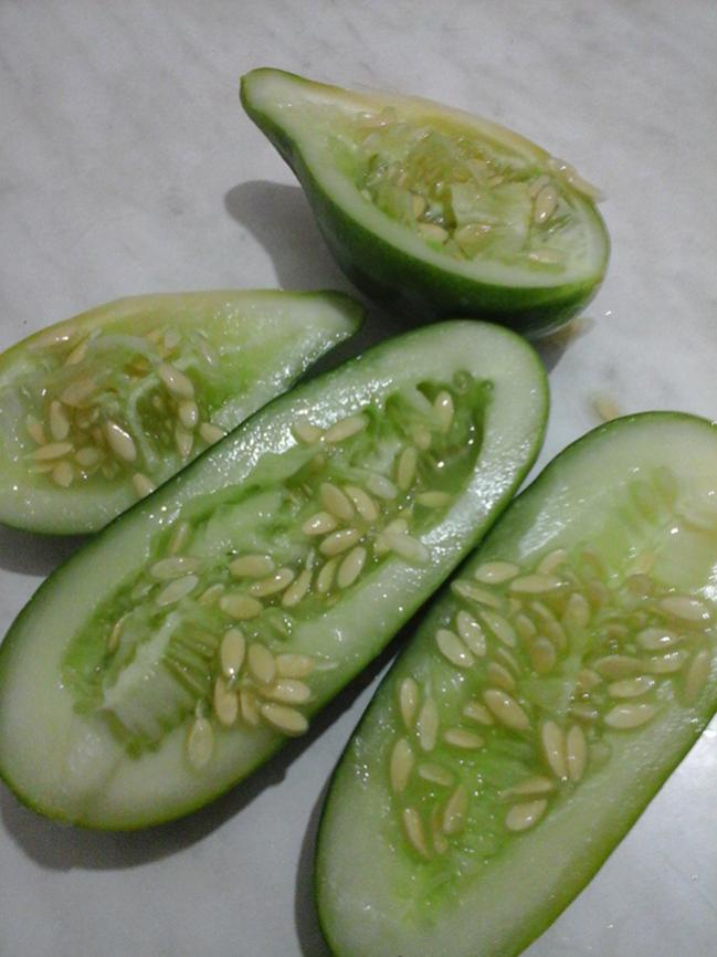 Name:  tohumlar.jpg
Views: 292
Size:  57.9 KB