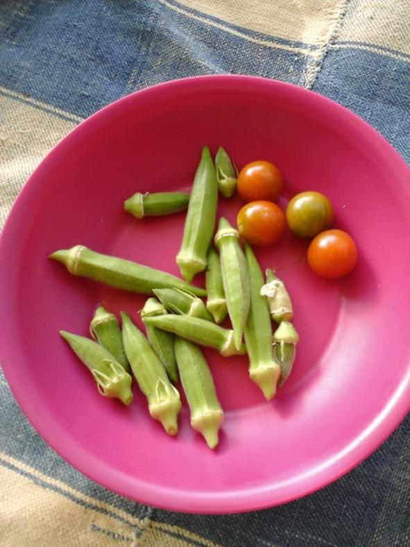 Name:  tabakbamya.jpg
Views: 210
Size:  66.1 KB