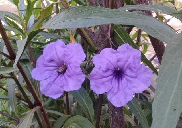 Name:  20170920_095845.jpg
Views: 495
Size:  46.6 KB
