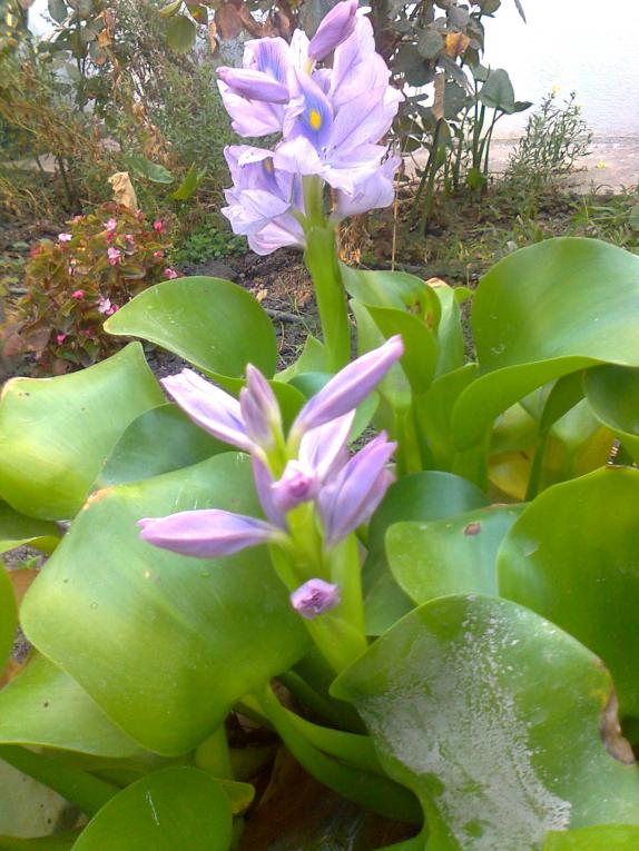 Name:  Fotoraf4368.jpg
Views: 796
Size:  72.6 KB