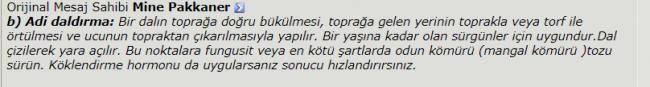 Name:  Ekran Alnts.jpg
Views: 837
Size:  15.5 KB