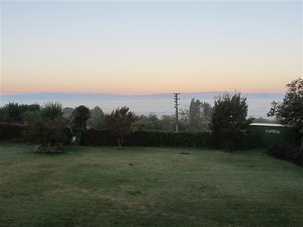 Name:  IMG_2024 (600 x 450).jpg
Views: 521
Size:  44.6 KB