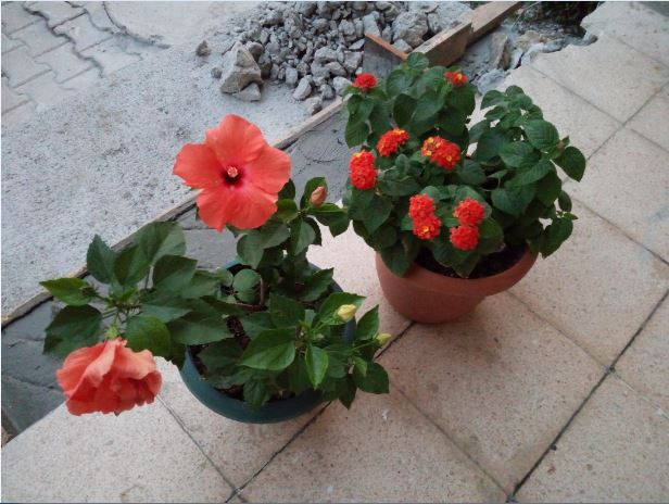 Name:  ja1.JPG
Views: 325
Size:  64.8 KB