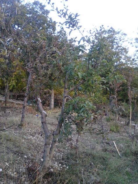 Name:  3.jpg
Views: 448
Size:  71.5 KB